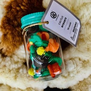 Cactus Erasers  Ⓜ️